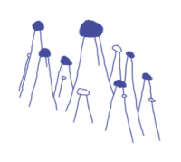 Hutbesetzte Erdpyramiden